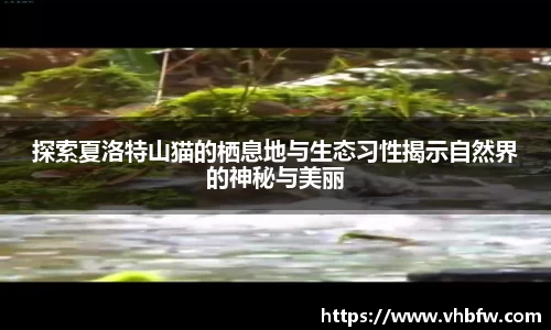 平博pinnacle下载